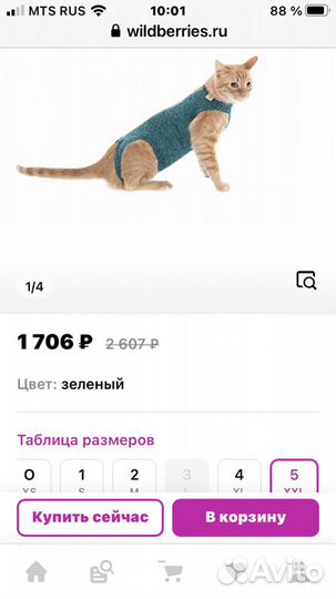 Попона послеоперационная для котов