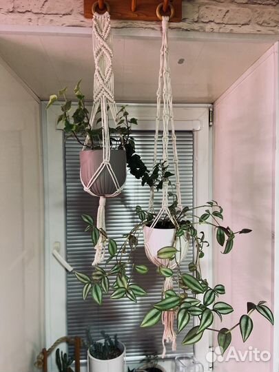 Подвесы для ваших растений