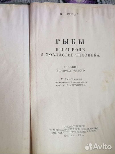 Рыбы в природе и хозяйстве человека