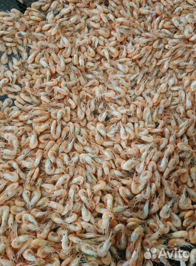 Креветки в Москве и мо