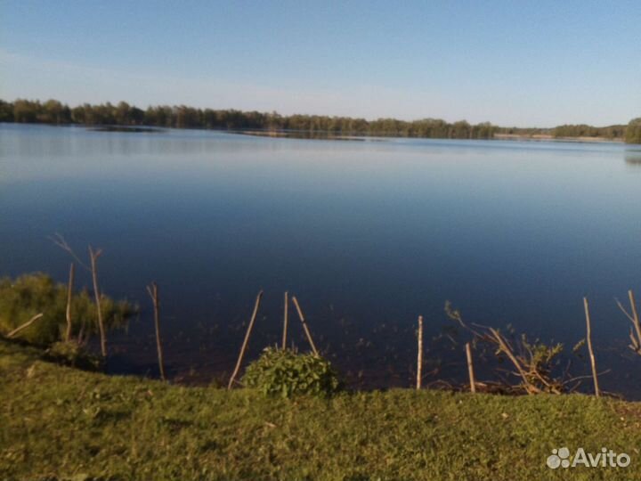 Платная рыбалка