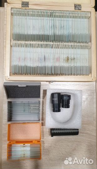 Цифровой микроскоп Levenhuk D50L NG