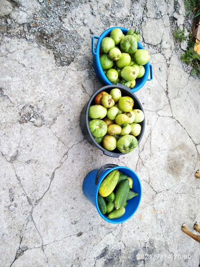 Участок 7,5 сот. (СНТ, ДНП)