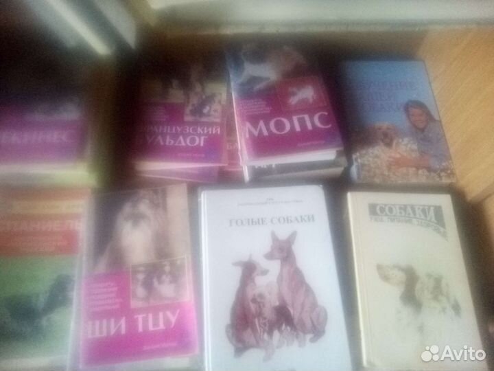 Книги по собачкам и кошечкам и другим животным