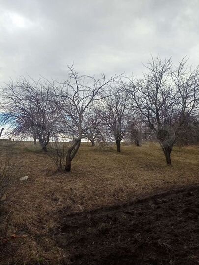 Участок 33 сот. (ИЖС)