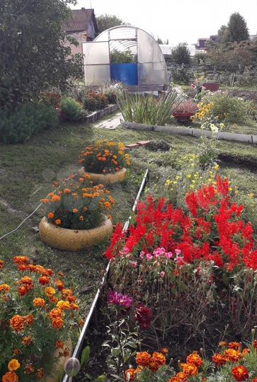 Дача 20 м² на участке 9 сот.