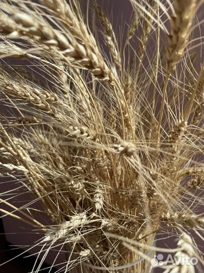 Ваза стекло стекло