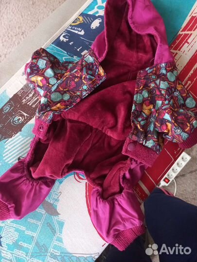 Одежда для собак мелких пород