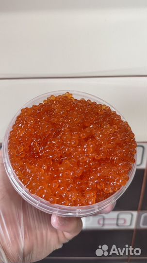 Свежая красная Икра Горбуши 2023