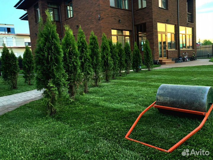 Рулонный газон от производителя