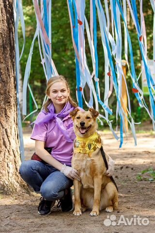 Кинолог / зоопсихолог