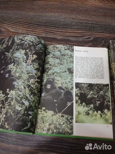 Советские книги о животных, лекарственные растения