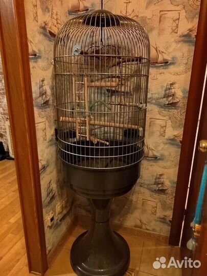 Клетка для крупного попугая