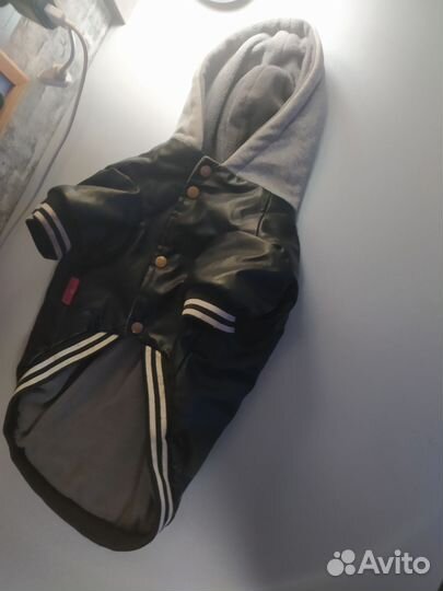 Одежда для собак