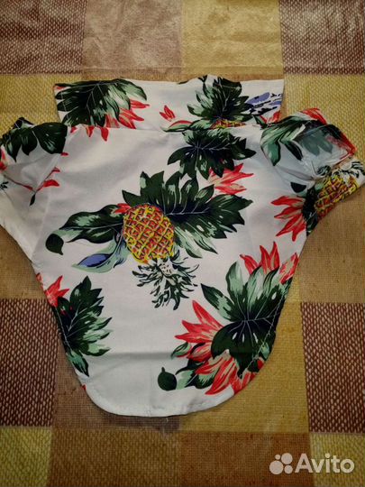 Рубашка для мелких собак