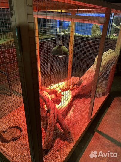 Террариум большой