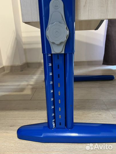 Растущая парта и стул Дэми