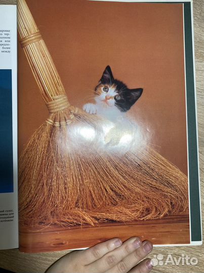 Книга животные энциклопедия