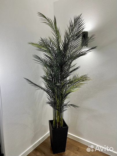 Искусственные деревья / Озеленение Ростов-на-Дону