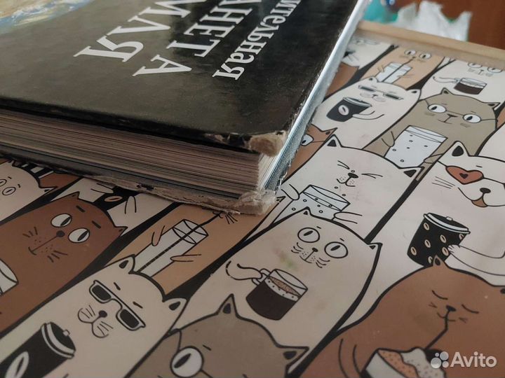 Книга Энциклопедия Удивительная планета земля