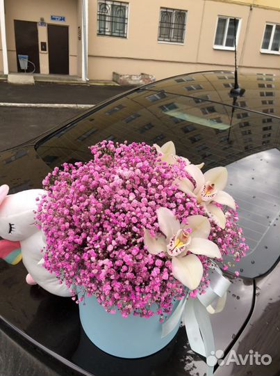 Гипсофила букеты коробки