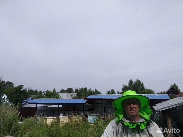 Пчелопасика