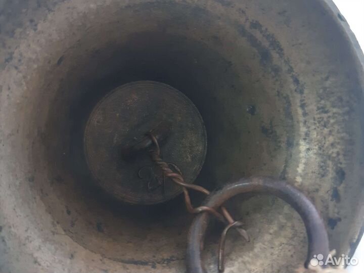 Поддужный колокольчик