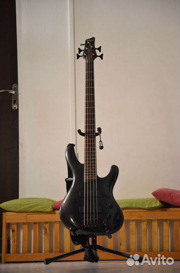 Бас гитара Ibanez EDB605