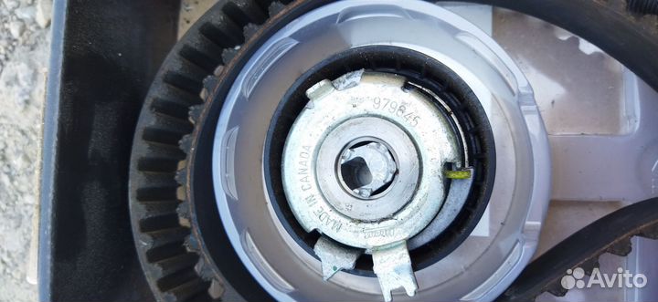 Ремень грм и ролики рено меган