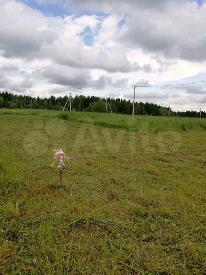 Участок 11 сот. (ИЖС)