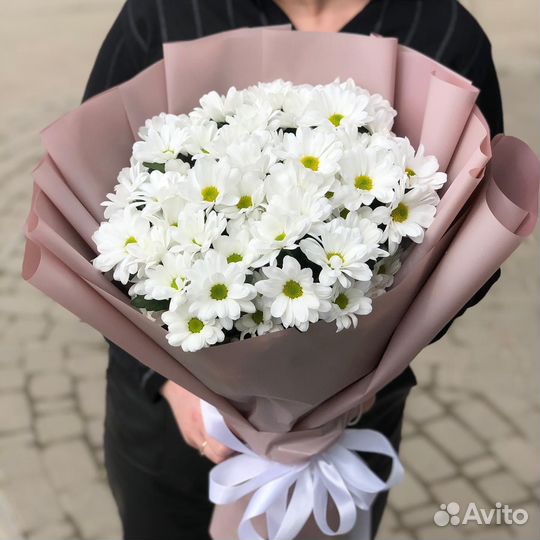 Цветы. Белые Хризантемы. Доставка/Самовывоз