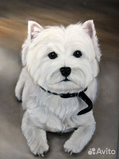 Очаровашка