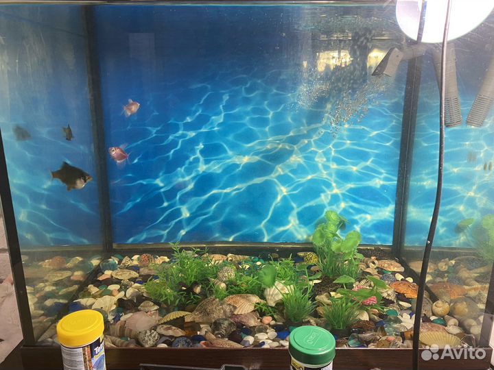 Аквариум