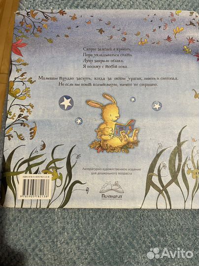 Детская книга Непогода