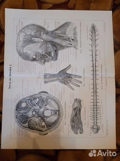Коллекция гравюр 19 век, оригиналы 130шт Европа