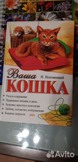 Книги о котах, цветах и пр