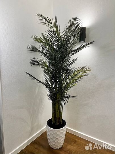 Искусственное дерево / фитокартина Тамбов