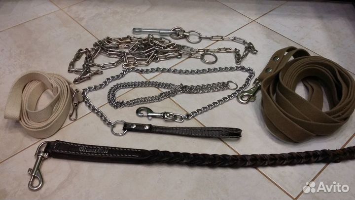 Поводки, ошейник и шлейка для собак