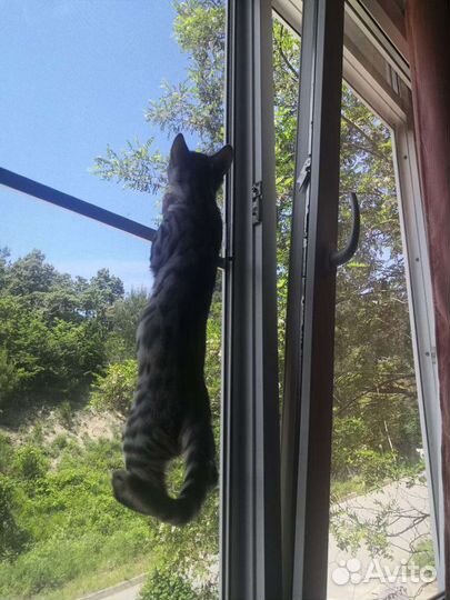 Москитные сетки