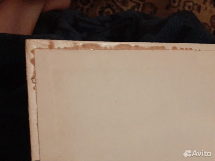 Н. Носов Фантазеры