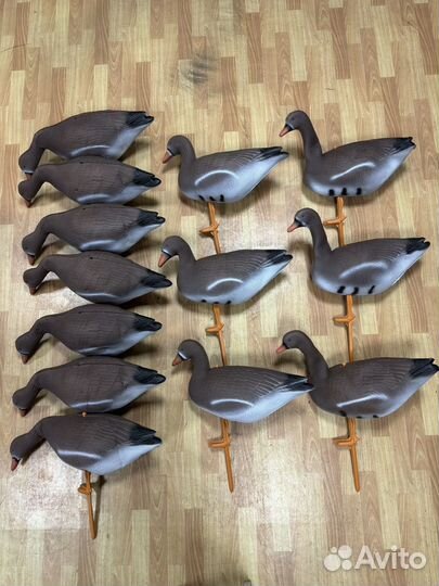 Чучела гусей 8штук