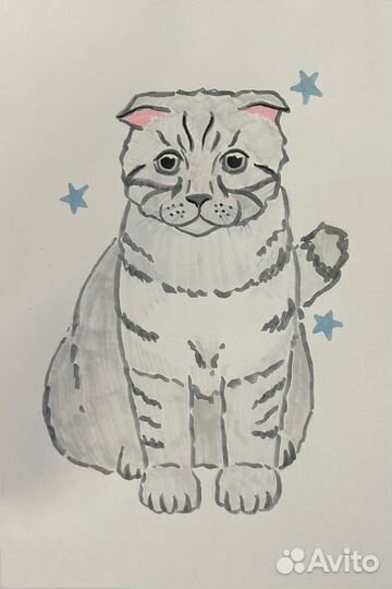 Нарисую вашего питомца за любые деньги