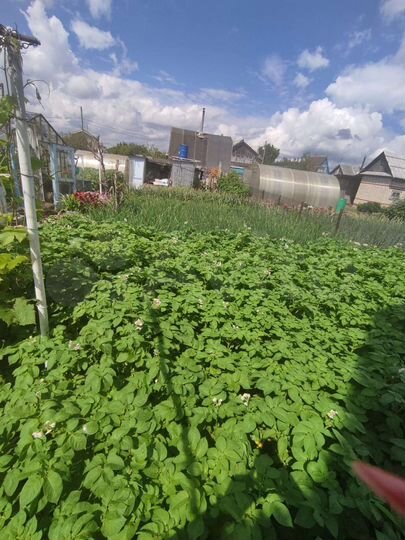 Дача 25 м² на участке 4 сот.