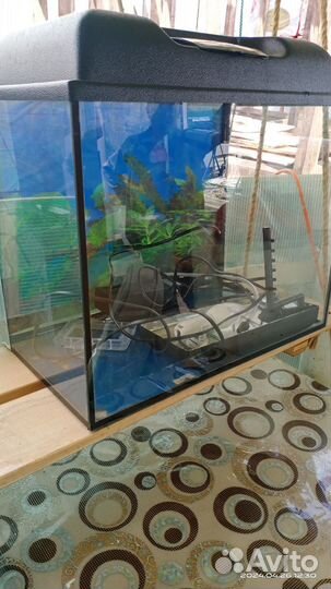 Аквариум