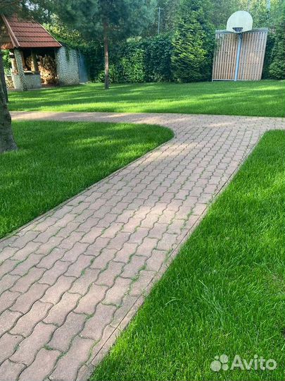 Рулонный газон с бесплатным замером