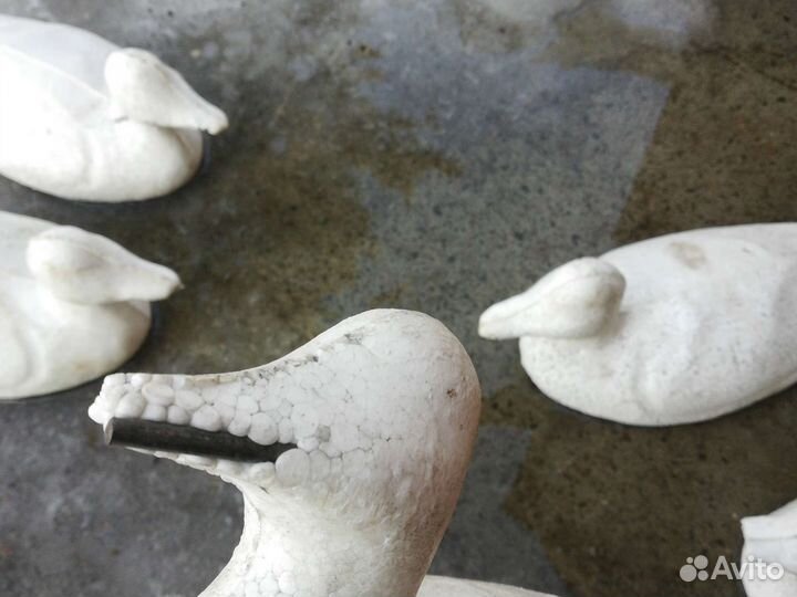 Утки подсадные для охоты