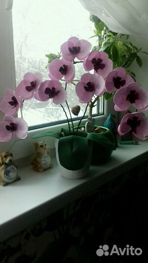 Орхидеи из фоамирана