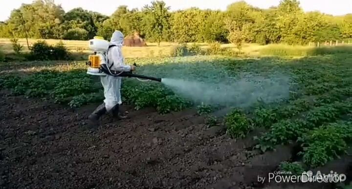 Дезинфекция