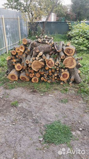 Дрова
