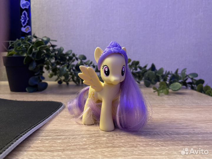 My little pony Санни Рейз Sunny Rays